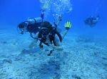 Hawaii Scuba divng 52