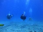 Hawaii Scuba divng 53