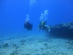 Hawaii Scuba divng 56