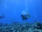 Hawaii Scuba divng 56