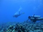 Hawaii Scuba divng 57