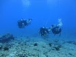 Hawaii Scuba divng 58