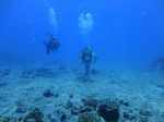 Hawaii Scuba divng 65