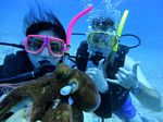 Hawaii Scuba divng 74