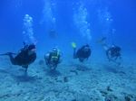 Hawaii Scuba divng 77