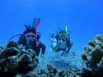 Hawaii Scuba divng 79