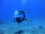 Hawaii Scuba divng 82