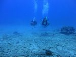 Hawaii Scuba divng 83