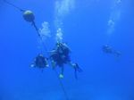 Hawaii Scuba divng 85