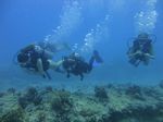 Hawaii Scuba divng 16