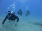 Hawaii Scuba divng 18