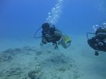 Hawaii Scuba divng 19