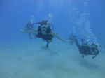 Hawaii Scuba divng 20