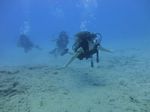 Hawaii Scuba divng 21