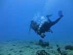 Hawaii Scuba divng 28