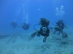 Hawaii Scuba divng 30