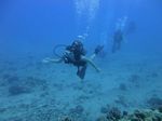 Hawaii Scuba divng 31