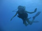 Hawaii Scuba divng 33