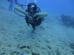 Hawaii Scuba divng 38