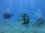 Hawaii Scuba divng 39