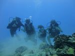 Hawaii Scuba divng 41