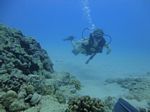 Hawaii Scuba divng 43