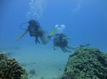 Hawaii Scuba divng 44