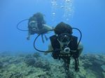 Hawaii Scuba divng 45