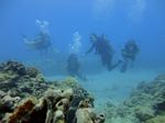 Hawaii Scuba divng 47