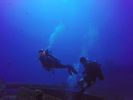 Hawaii Scuba divng 12