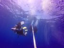 Hawaii Scuba divng 01