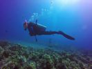 Hawaii Scuba divng 30