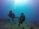 Hawaii Scuba divng 34