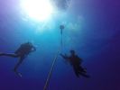 Hawaii Scuba divng 03