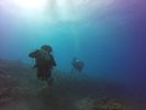 Hawaii Scuba divng 44