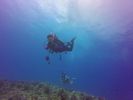 Hawaii Scuba divng 46