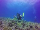 Hawaii Scuba divng 47