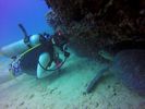 Hawaii Scuba divng 51