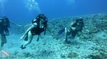 Hawaii scuba 31