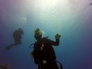 Hawaii Scuba divng 10