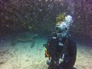 Hawaii Scuba divng 12