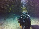 Hawaii Scuba divng 13