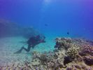 Hawaii Scuba divng 21