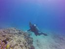 Hawaii Scuba divng 22