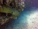 Hawaii Scuba divng 24
