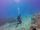 Hawaii Scuba divng 26