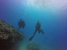 Hawaii Scuba divng 33