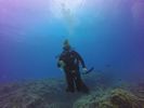 Hawaii Scuba divng 34