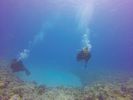 Hawaii Scuba divng 39