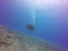 Hawaii Scuba divng 42